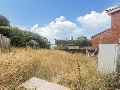 Picture 19
